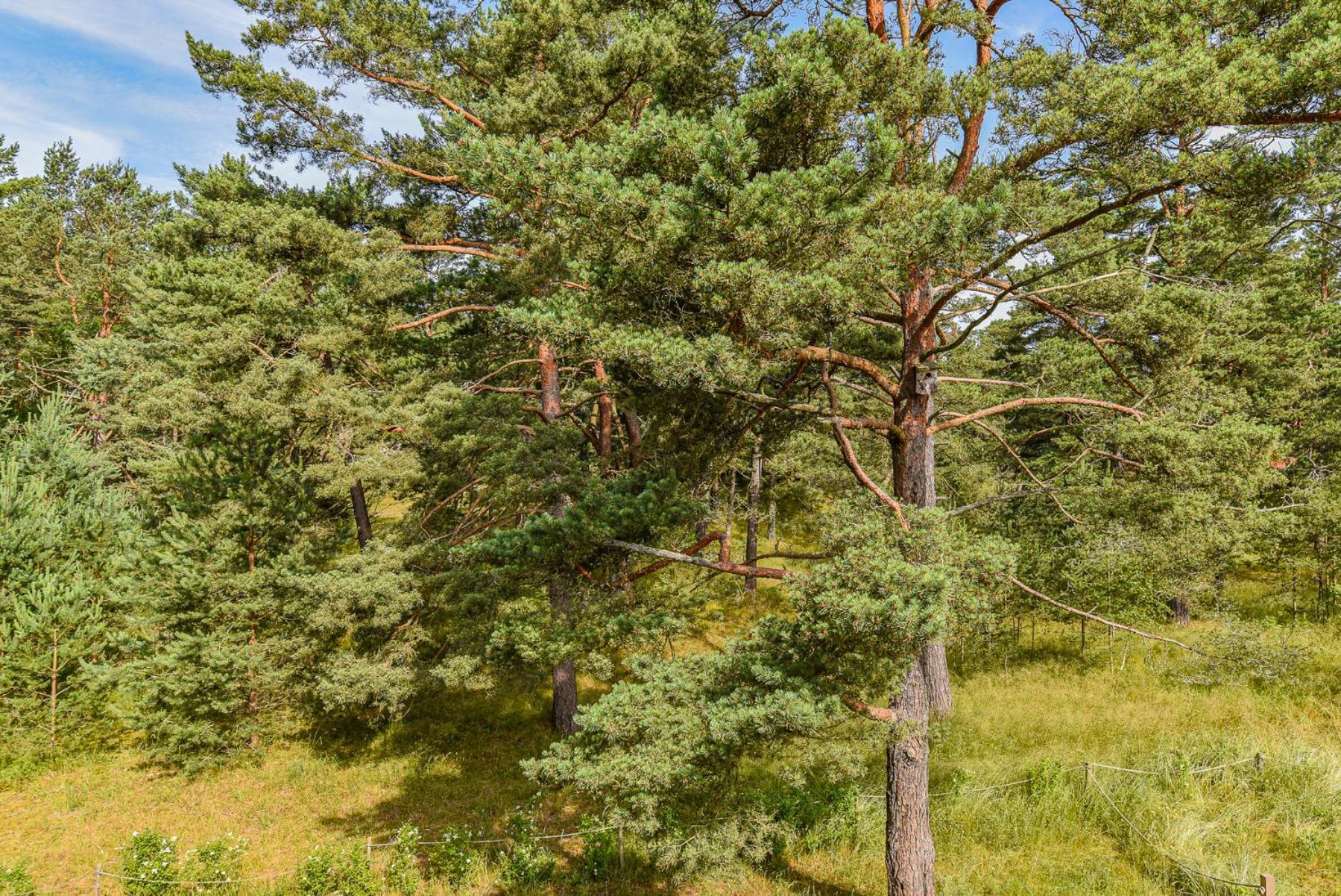 Guest house Skalva